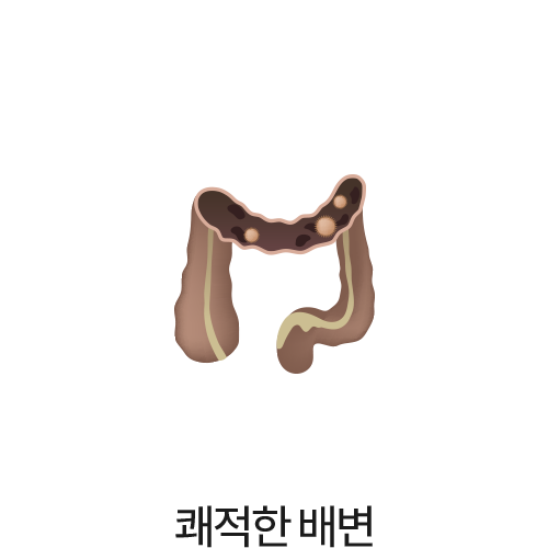 안정적인 배변 리듬 회복이<br>회복됩니다. (하루 3번 이내, 또는<br>이틀에 한 번 정상적인 배변활동이 시작됩니다)